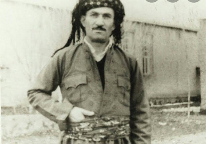 حسن زیرک کویستانان خال خال